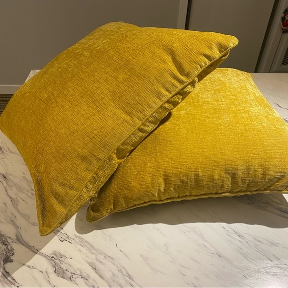 Urban Barn Clooney Cushions Throw pillows in Dijon 24” x 24” set of 2 - Picture 2 of 11